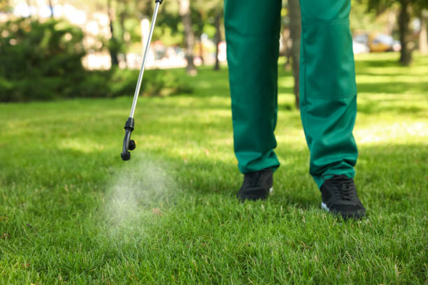 Best Affordable Exterminators  in O, MI