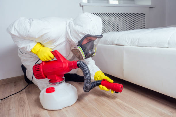 Wasp Removal Services in Mio, MI