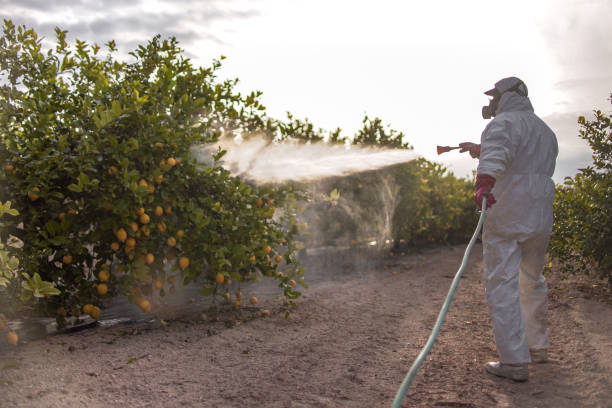 Best Mosquito Control Services  in O, MI