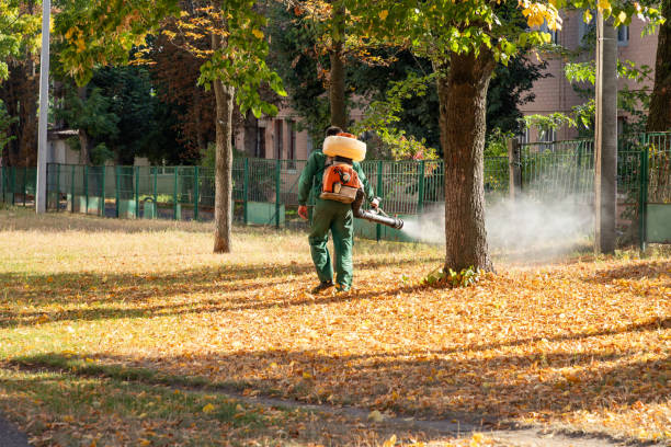 Best Insect Control  in O, MI