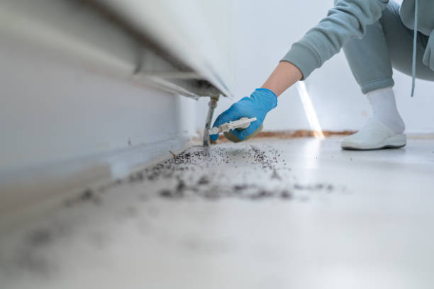 Best Best Pest Control Companies  in O, MI